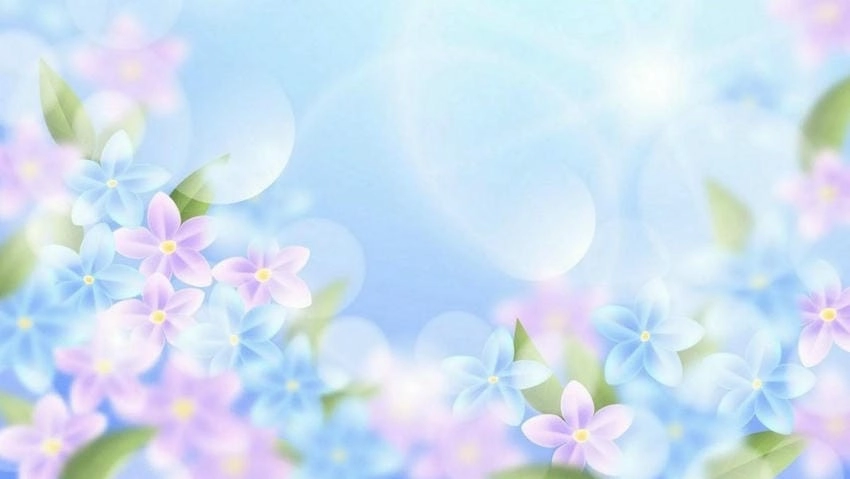 Background mùa xuân ấn tượng tạo cảm xúc