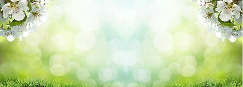 Background mùa xuân phông nền nhẹ nhàng đẹp