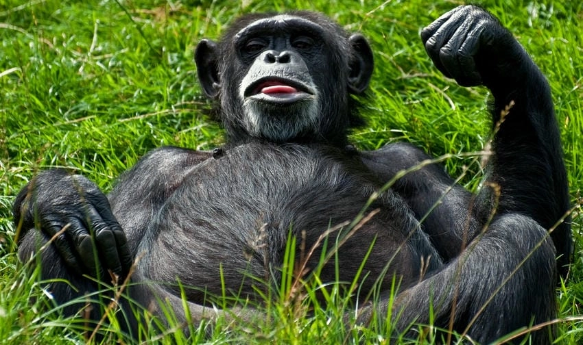 Background ngộ nghĩnh độc đáo tạo dấu ấn riêng