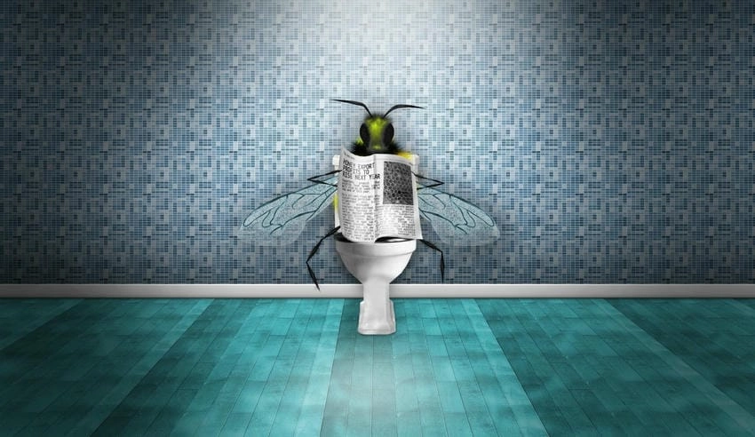 Background nhà vệ sinh tổng hợp đầy đủ phong cách