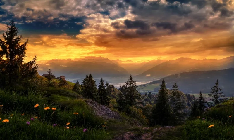 Đắm chìm trong background phong cảnh thiên nhiên tràn đầy sức sống