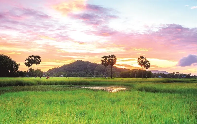 Sắc xuân tươi mới trong background quê hương mùa xuân