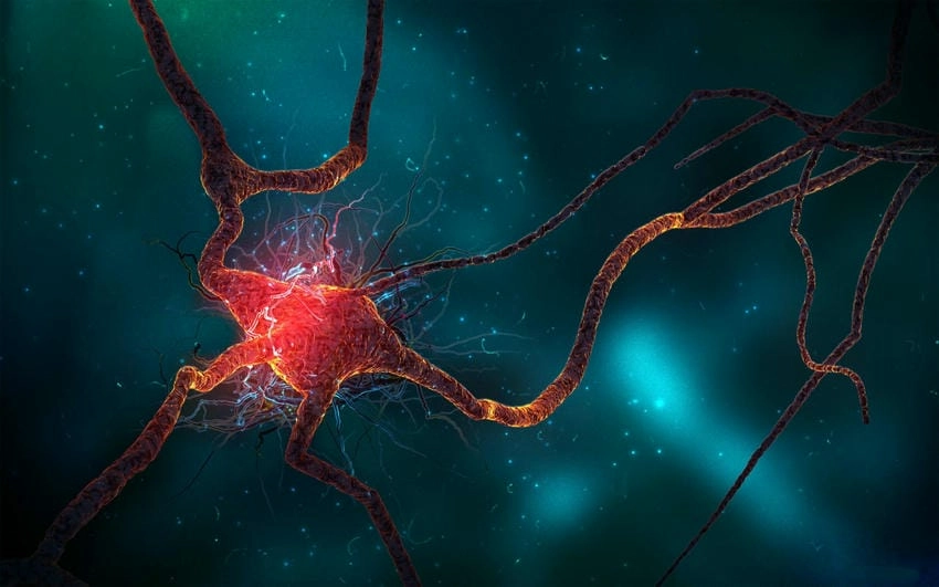 Background sinh học cảm hứng thăng hoa ý tưởng