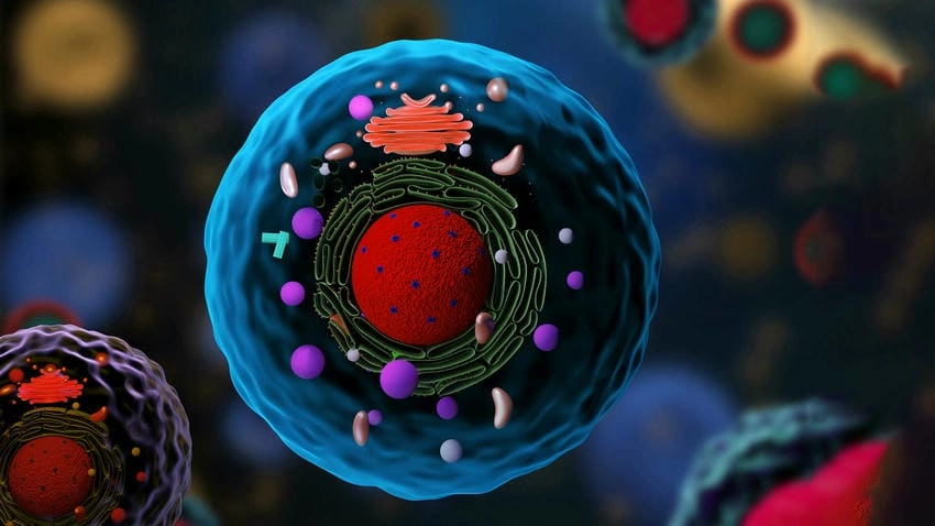 Background sinh học ý tưởng mở lối sáng tạo