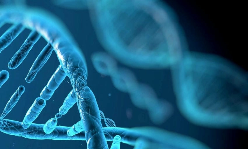 Background sinh học đa năng tạo chiều sâu mới