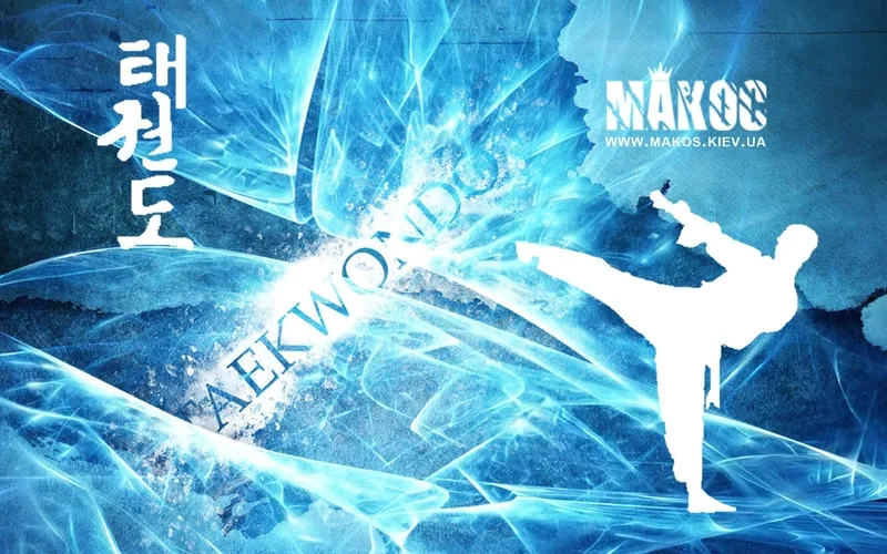 Background taekwondo 4K sắc nét miễn phí