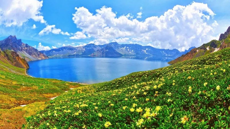 Cảm nhận không gian background thiên nhiên tươi mát