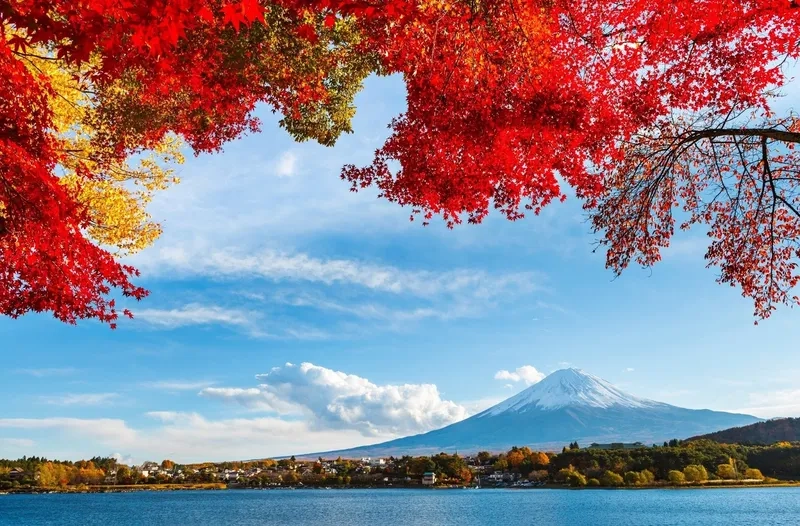 Làm website nổi bật với background thiên nhiên đẹp mắt