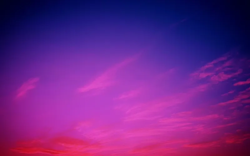 Background tím full HD sắc nét mang lại hình ảnh chất lượng cao