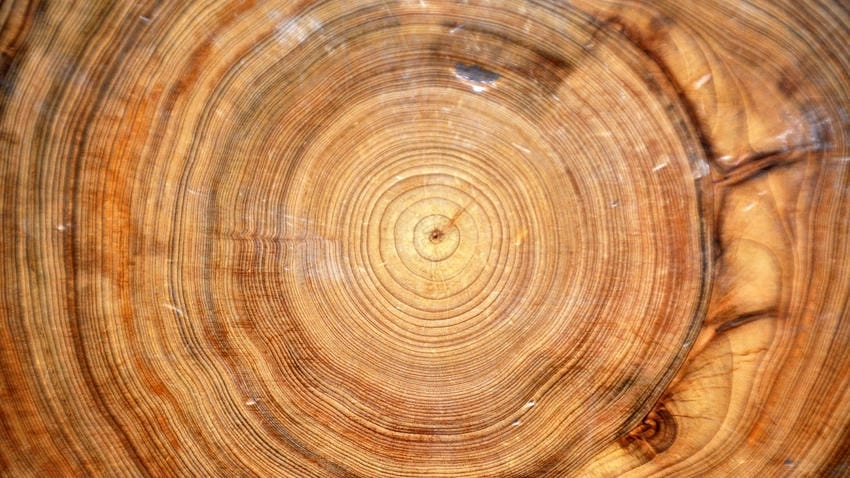 Background vân gỗ vector dễ dàng chỉnh sửa linh hoạt