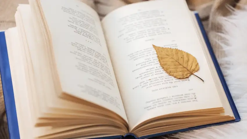 Background văn học đẹp nâng tầm hình ảnh