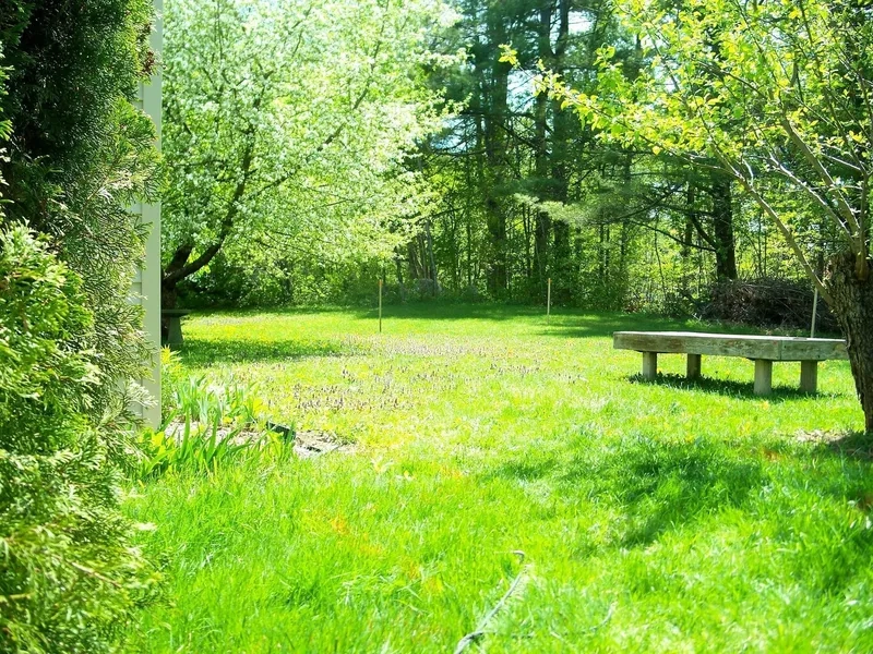 Thiết kế hiện đại với background vườn cây vector