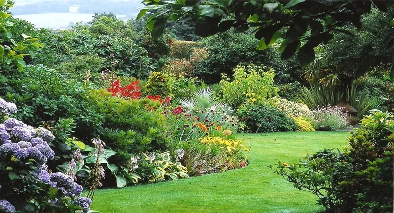 Tạo điểm nhấn sống động cho website với background vườn cây