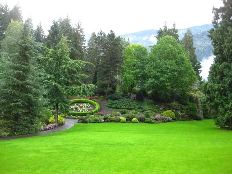 Trình bày chuyên nghiệp với background vườn cây powerpoint