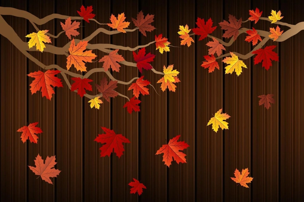 Maple leaf background đậm chất mùa thu