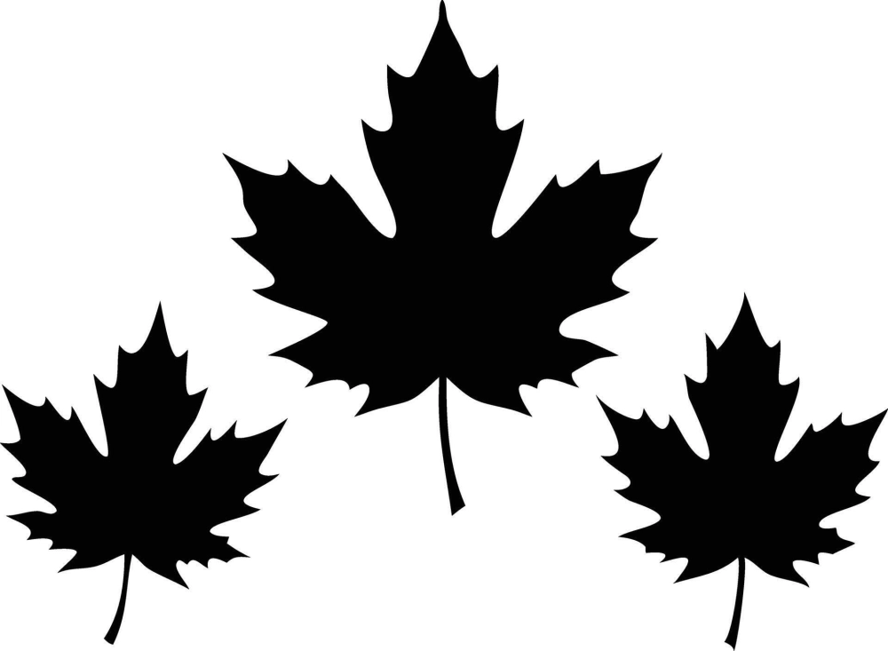 Background khung lá phong tinh tế trang nhã