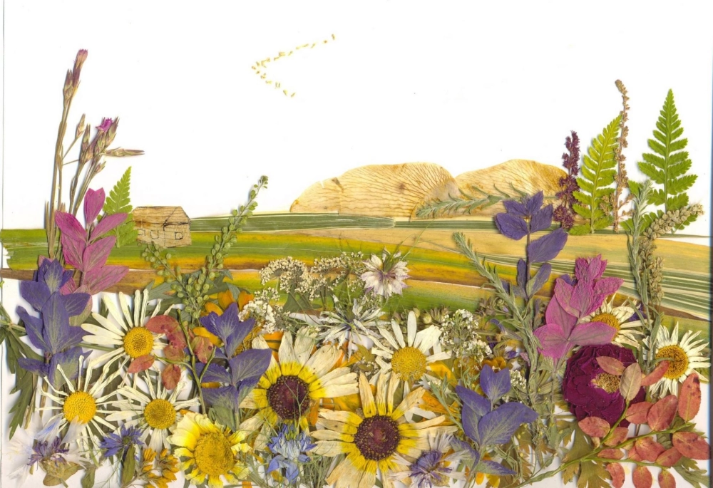 Mang nét đẹp mộc mạc của background hoa khô tự nhiên