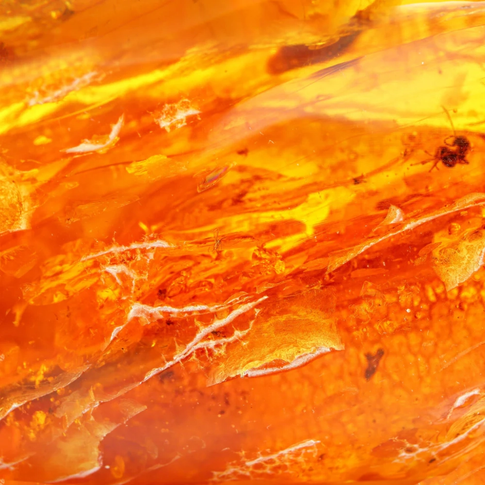 Lung linh sắc Background Amber Haze ánh sáng vàng