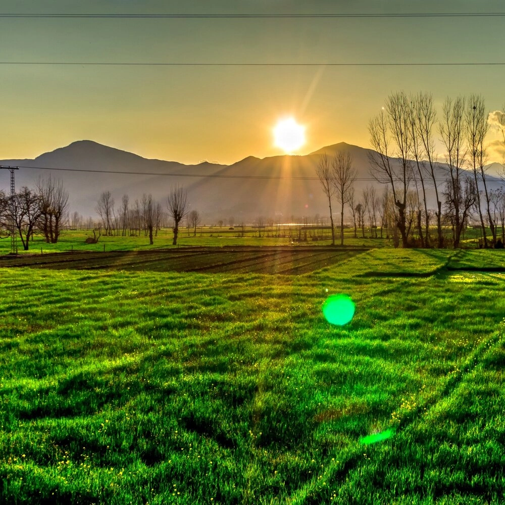 Lãng mạn khung cảnh background bình minh trên biển xanh