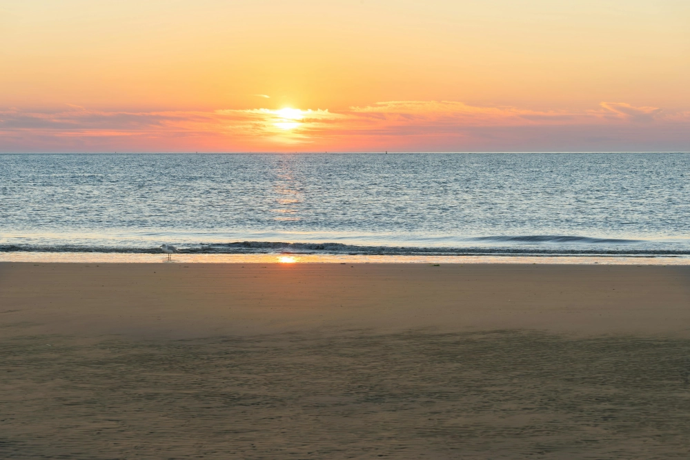 Sáng tạo độc đáo với background bình minh nghệ thuật số