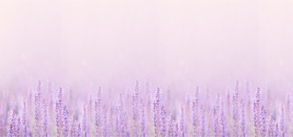 Ý tưởng tuyệt vời dùng background digital lavender cho thiết kế