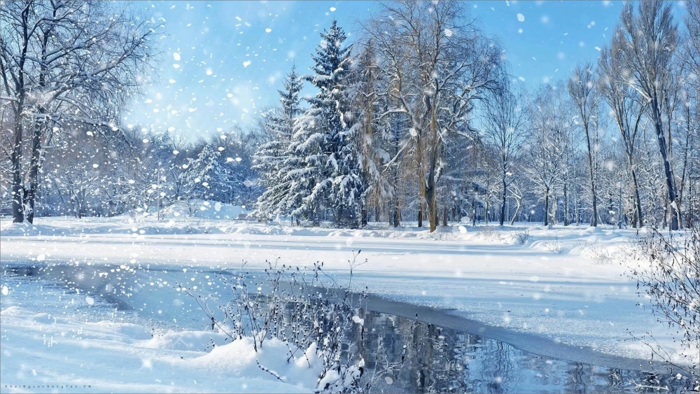 Trải nghiệm hình ảnh background tuyết rơi 4k đỉnh cao