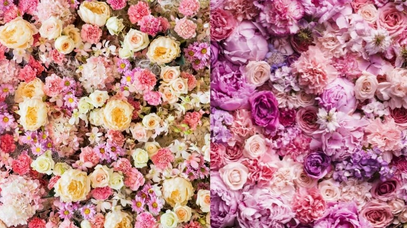 100+ ảnh background hoa lá đẹp tinh tế cho mọi thiết kế