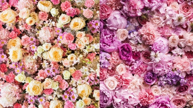 100 ảnh background hoa lá đẹp tinh tế cho mọi thiết kế