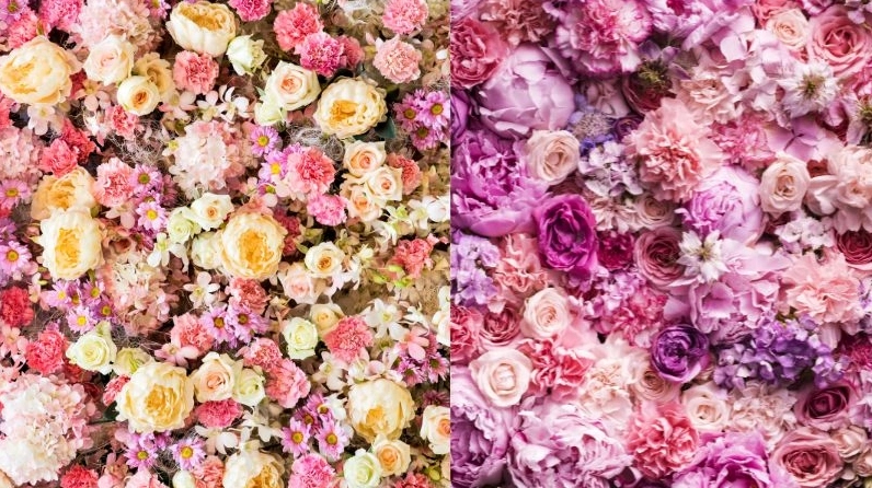 100 ảnh background hoa lá đẹp tinh tế cho mọi thiết kế