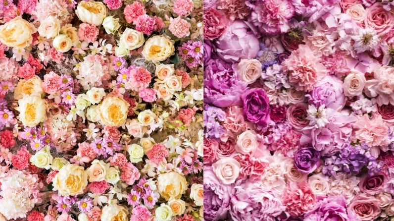 100+ ảnh background hoa lá đẹp tinh tế cho mọi thiết kế