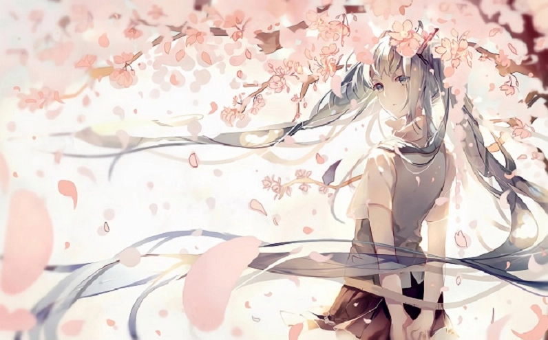 Ảnh hoa anh đào rơi tinh khôi