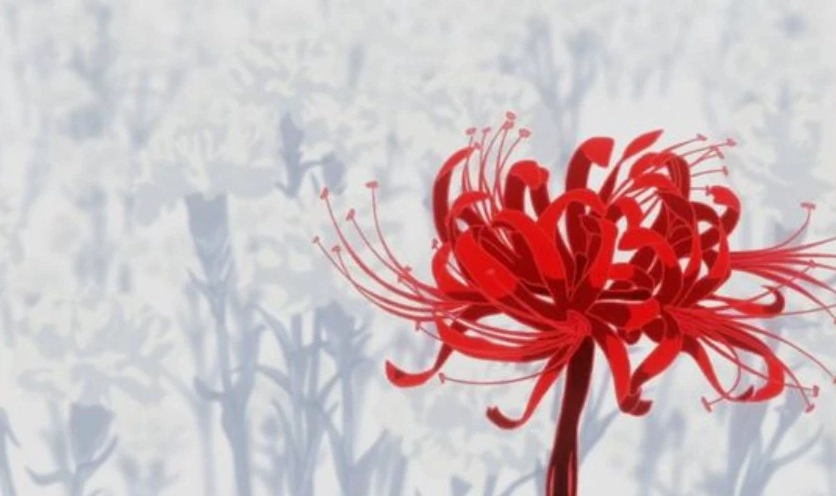 Ảnh nền hoa bỉ ngạn đỏ anime cho máy tính