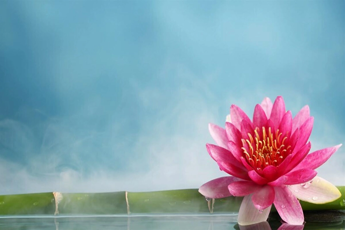 Ảnh nền hoa sen PowerPoint thuyết trình đẹp chuyên nghiệp