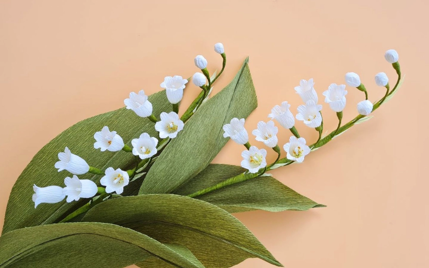 Ảnh nền linh lan trắng tinh khôi trên nền màu be ấm áp