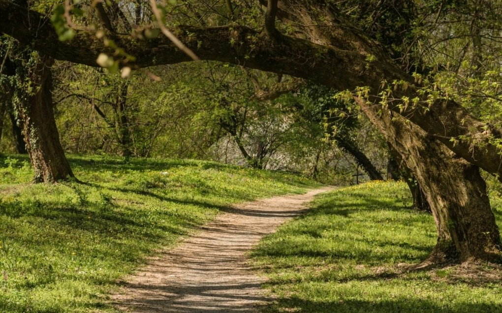 background ghép ảnh 3