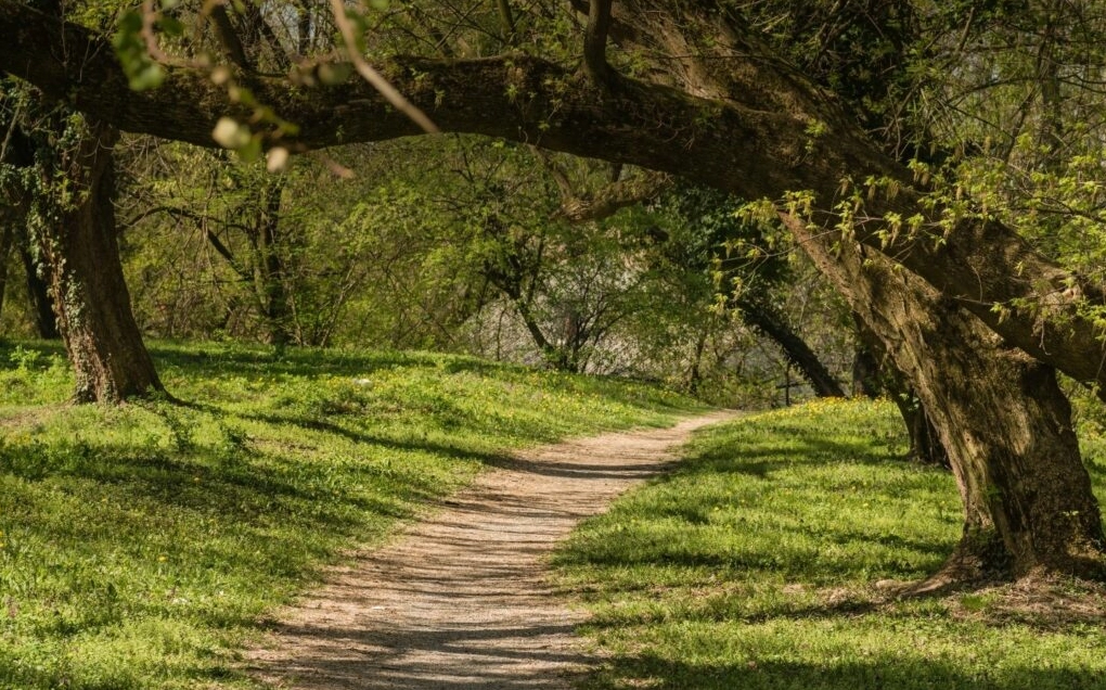 Background ghép ảnh 3 với tông màu huyền bí