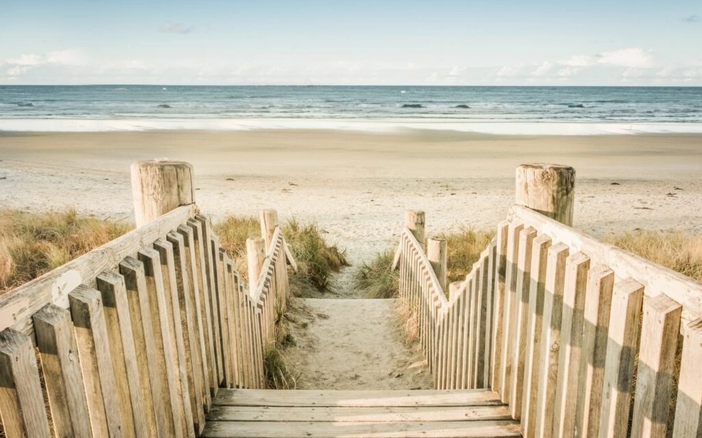 Background ghép ảnh 4 hoàn hảo cho tiệc sinh nhật