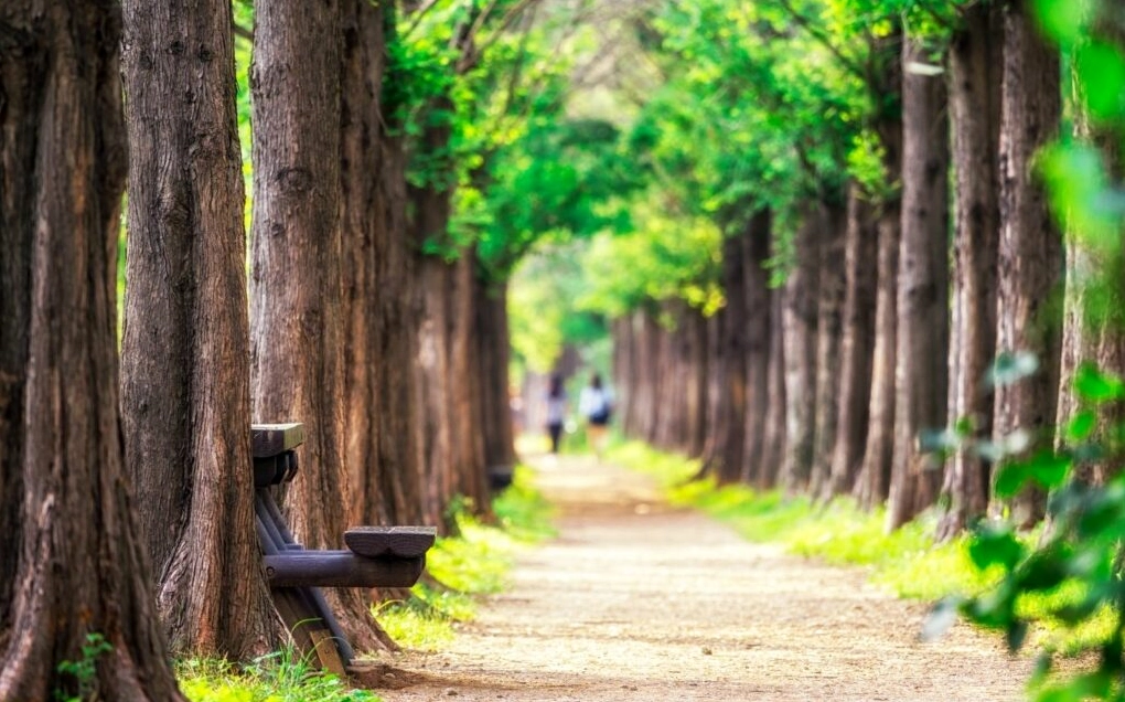 background ghép ảnh 5