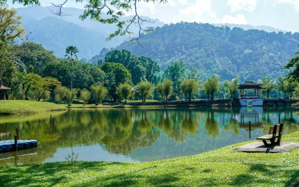 background ghep anh 8