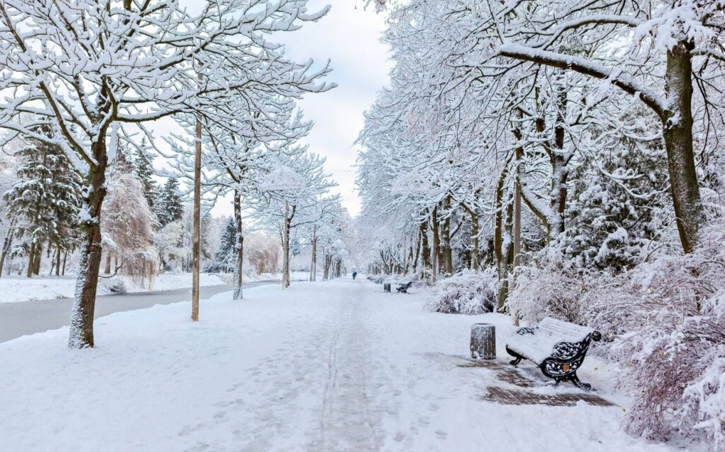 background ghep anh 9