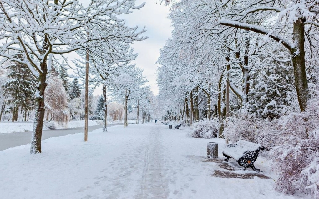 Background ghép ảnh 9 với ánh sáng rực rỡ