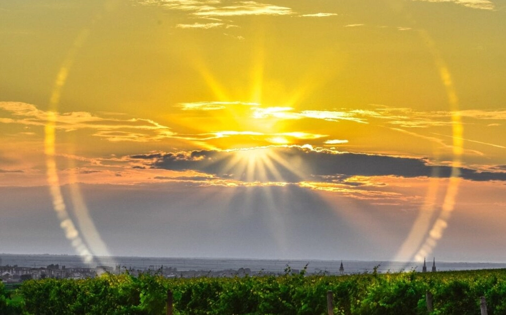 background ghép ảnh phong cách nhẹ nhàng