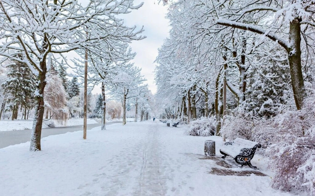 Background ghép ảnh số 9 phong cách đường nét mượt mà