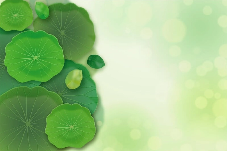 Background hoa sen 01 thanh tịnh