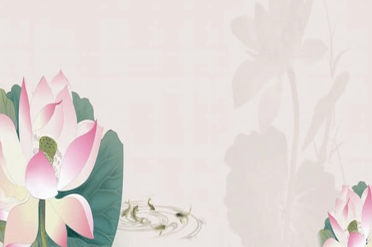 Background PowerPoint hoa sen đẹp nhất
