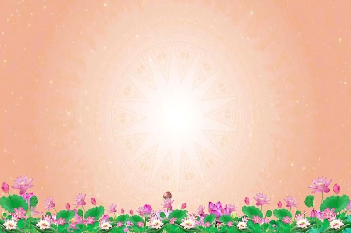 Background PowerPoint hoa sen tuyệt đẹp