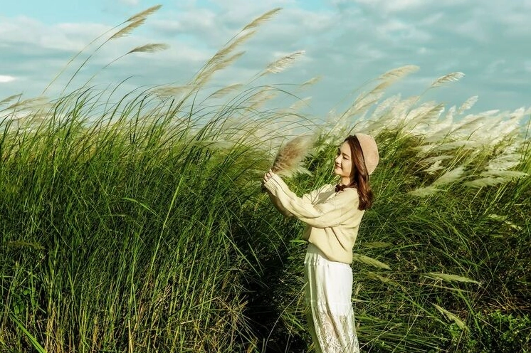 Bông cỏ lau lay nhẹ trong gió, màu pastel dịu