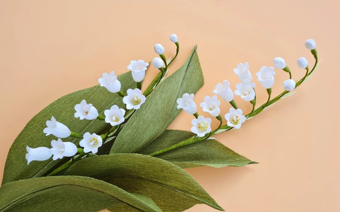 Bông linh lan trắng tinh khôi được chụp trên phông nền màu be pastel