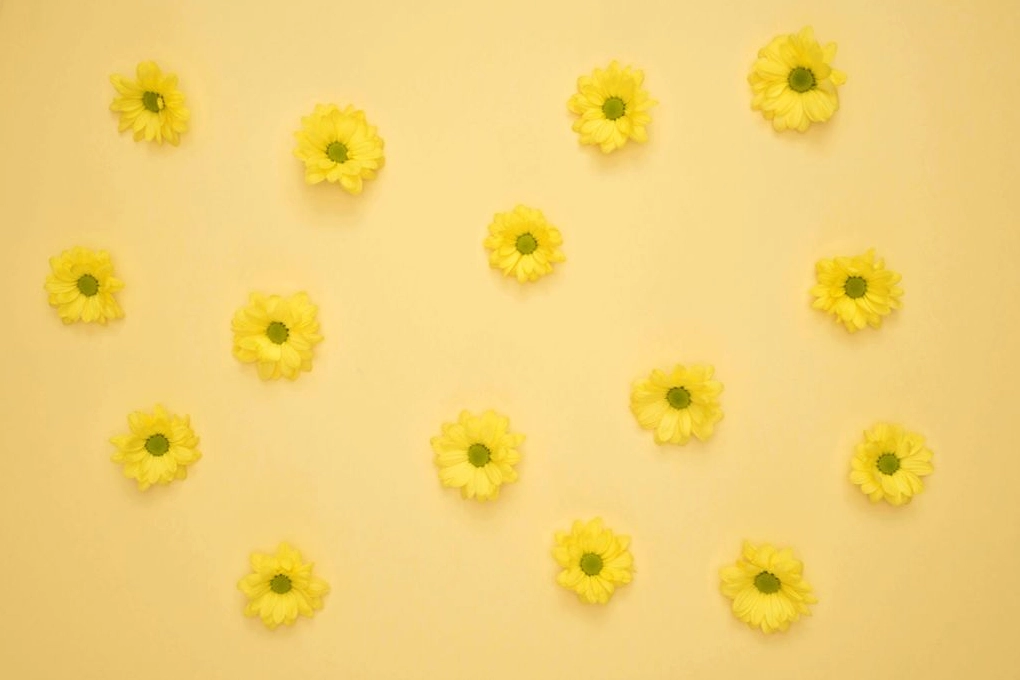 Các mẫu background cute độc đáo