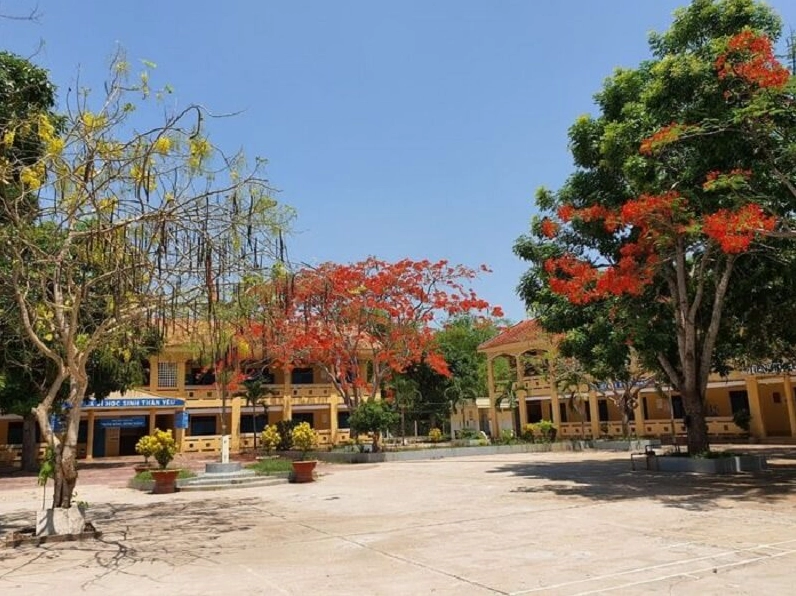 Cài đặt hình nền ảnh hoa phượng cực nét cho điện thoại